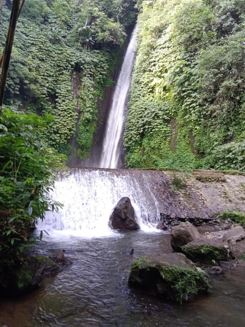 Puri Pilihani Hostel Munduk Exteriör bild